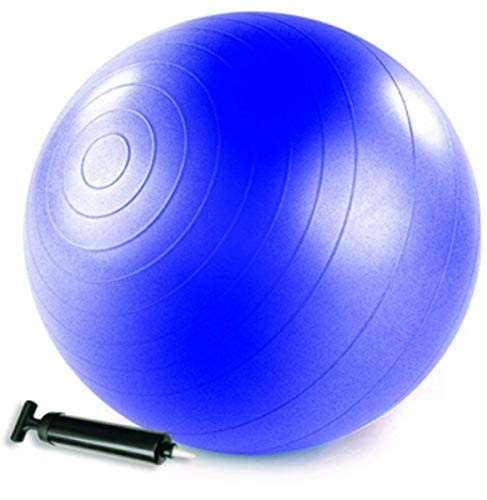 STOTT PILATES Stability Ball -Purple-- 29 inch / 75 cm