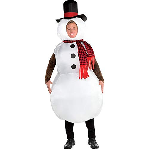 Amscan Costume- Standard Adult size- Multicolor-8402480