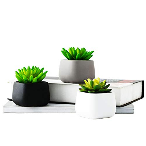 OYSIR Modern Succulent Cactus Planter Pot,3 pcs Ceramic Flower Pot Container Bonsai Pots with Drainage Hole for Indoor Plants, Herbs Pot (No .4)