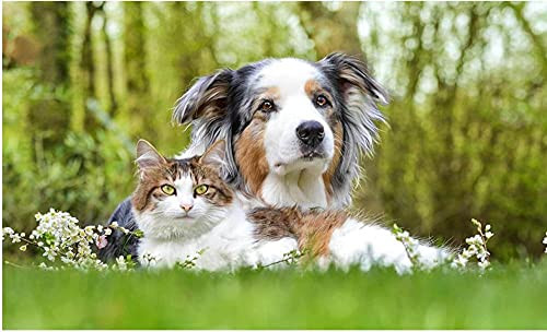YHKTYV Dog and Cat Animal Chart Jigsaw Puzzle 98 Piece Puzzles for Adult Kids-Wooden Puzzle Teens Educational Intellectual Decompressing Fun Game for Kids Adults