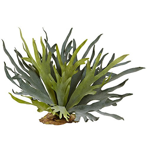 Nearly Natural 6107-S2 21 Staghorn Fern -Set of 2-- 2 Piece