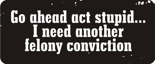 1080 Graphics 3 - Go Ahead Act Stupid.I Need Another Felony Conviction 1 1-4" x 3" Hard Hat Biker Helmet Stickers Bs164