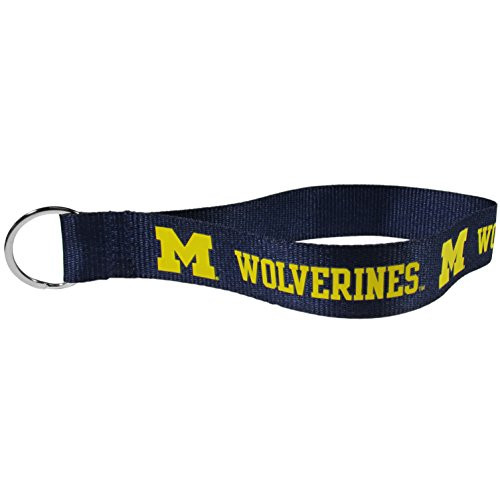 Siskiyou NCAA Michigan Wolverines Lanyard Key Chain Wristlet  Blue