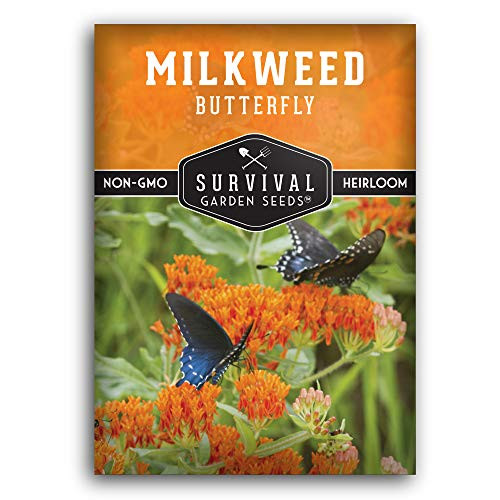 Survival Garden Seeds - Butterfly Milkweed Seeds for Planting - Packet with Instructions to Plant and Grow Your Own Home Garden - Non-GMO Heirloom Seeds Grown in USA
