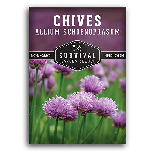 Survival Garden Seeds - Common Chives Seed for Planting - Packet with Instructions to Plant and Grow in Your Home Vegetable Garden - Non-GMO Heirloom Variety