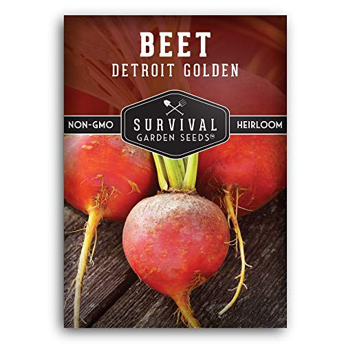 Survival Garden Seeds - Detroit Golden Beet Seed for Planting - Packet with Instructions to Plant and Grow in Your Home Vegetable Garden - Non-GMO Heirloom Variety