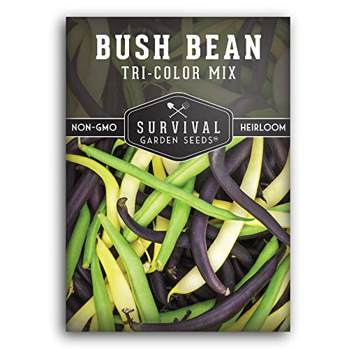 Survival Garden Seeds - Tri-Color Bean Seed for Planting - Packet with Instructions to Plant and Grow in Your Home Vegetable Garden - Non-GMO Heirloom Variety
