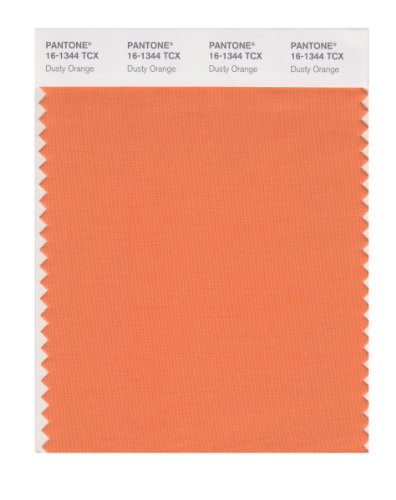 PANTONE Smart 16-1344X Color Swatch Card Dusty Orange