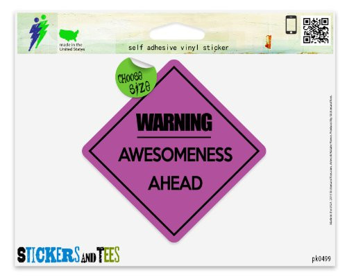 Warning_Awesomeness Ahead Vinyl Car Bumper Window Sticker 4" x 4"
