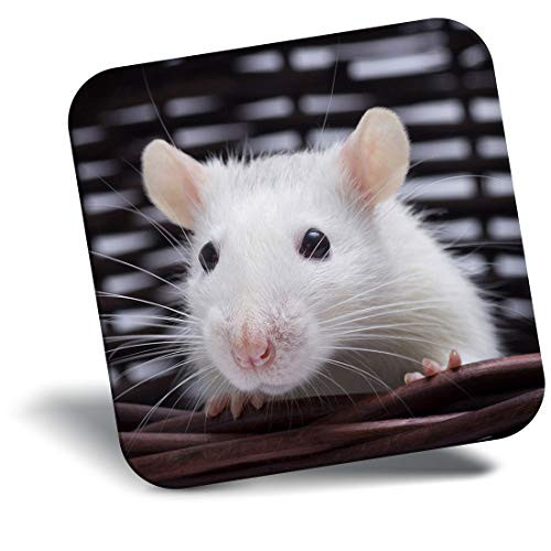 Destination Vinyl ltd Awesome Fridge Magnet - Cute Adorable White Mouse Animals Pets 8683