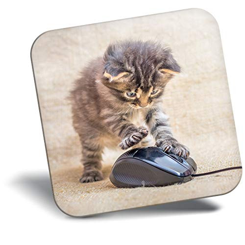 Destination Vinyl ltd Awesome Fridge Magnet - Funny Kitten Mouse Playing Cat 14602