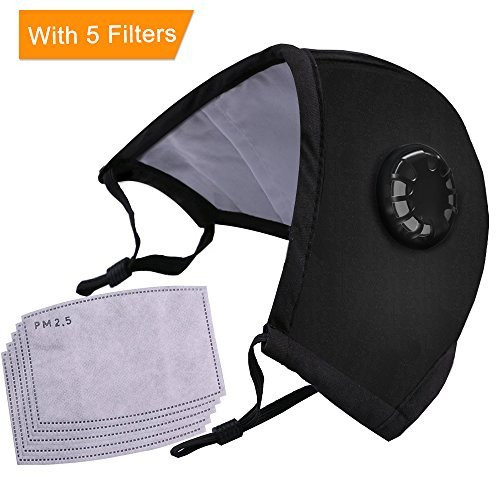Pollution Mask Adult Anti PM 2.5 Pollen Dust Mask Washable Anti-fog Anti Dust Mask Antibacterial Activated Carbon Filter Earloop Mouth Mask with 5 Filters (Black)