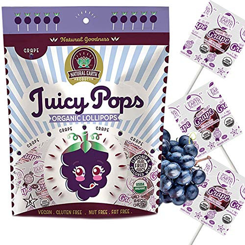 USDA Organic Lollipops Juicy Pops Candy Suckers Parties  and  Events Vegan Gluten-Free Nut-Free Fat-Free 8.5 Oz Bag -Grape Single-