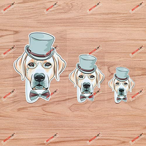 Labrador Retriever Lab Dog Hipster Vinyl Decal Sticker - 3 Pack Glossy 3 Inches 4 Inches 6 Inches - for Car Boat Laptop Cup Phone 09010