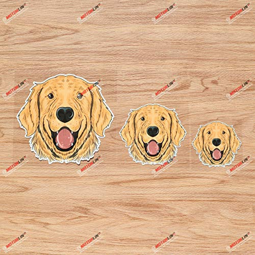 Golden Retriever Dog Face Vinyl Decal Sticker - 3 Pack Glossy 3 Inches 4 Inches 6 Inches - for Car Boat Laptop Cup Phone 09010