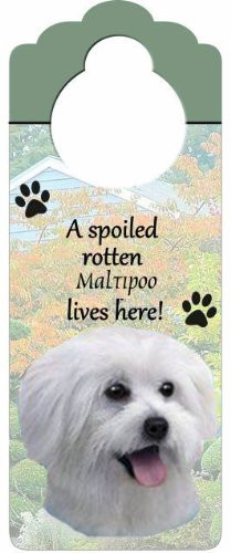 E and S Pets Maltipoo Pet Doorknob Note