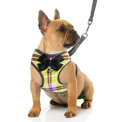 RYPET Small Dog Harness and Leash Set - Dog Harness No Pull Pet Harness with Soft Mesh Nylon Vest for Small Dogs and Cats Yellow L