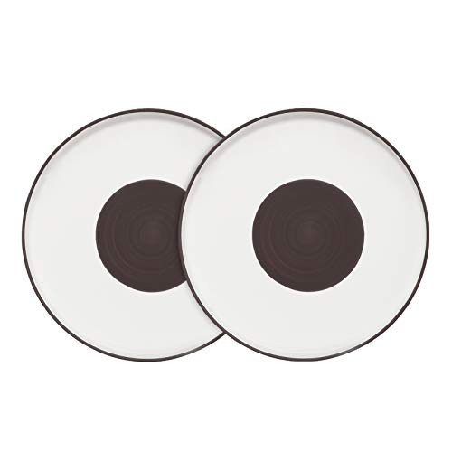 Stoneware Pasta Plates 2 Pack CSYY Dinner Breakfast Plates 10.5 Inch Round Dinner Plates for Dinner Pasta Salad Fruit