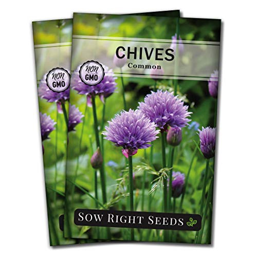 Sow Right Seeds - Chives Seed for Planting - Non-GMO Heirloom- Instructions to Plant and Grow Kitchen Herb Garden Indoor or Outdoor- Great Garden Gift -2-