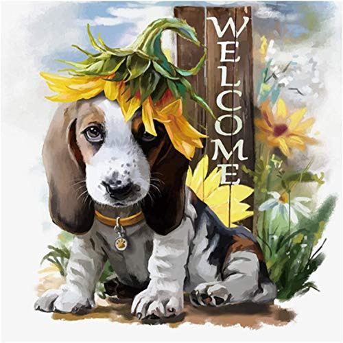 DIY 5D Diamond Painting Kit Paint for Adults and Kids Full Drill Diamond Painting Art Crystal Rhinestone Kits Arts Craft Canvas for Home Kitchen Wall Decor 12x12 Inches -Dog-