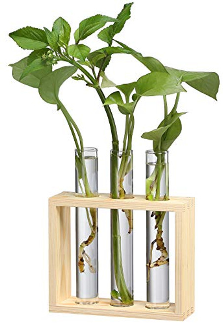 Yistao Glass Planter Propagation Station Wall Hanging-Tabletop Propagation Tubes 3 Test Tube Planter Propagation Planters Plant Terrarium with Wood Stand for Hydroponic Plants Cuttings Holder