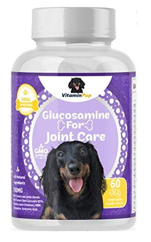 VitaminPup Dog Joint Care - Glucosamine Chondroitin Turmeric MSM Cinnamon Hyaluronic Acid Pet Supplement - Anti-Inflammatory Support Joint Pain Relief Hip Pain Cartilage Protection - 60 Chews