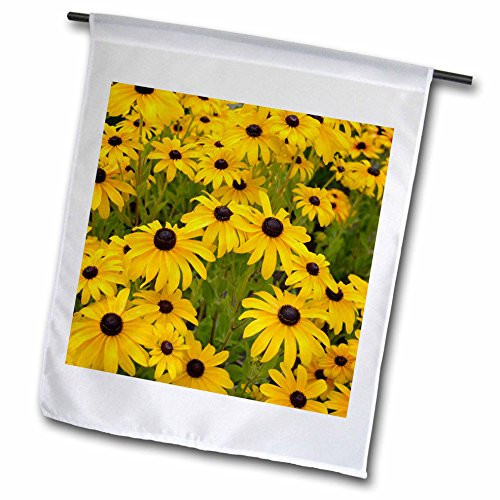 3dRose fl_27478_1 Black Eyed Susans Floral II Garden Flag, 12 by 18-Inch 3dRose fl_27478_1 Black Eyed Susans Floral II Garden Flag, 12 by 18-Inch