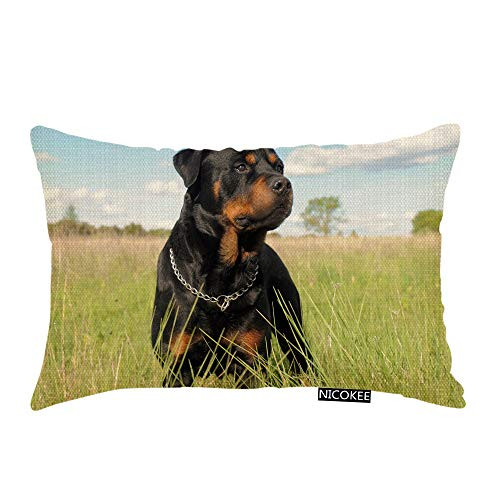 Nicokee Throw Pillow Cover Rottweiler Cute Puppy Dog Decorative Pillow Case Home Decor 20x12 Inches Pillowcase