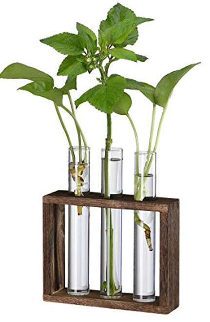 Yistao Glass Planter Propagation Station Wall Hanging-Tabletop Propagation Tubes 3 Test Tube Planter Propagation Planters with Wood Stand Plant Terrarium for Hydroponic Plants Cuttings Holder Yistao Glass Planter Propagation Station Wall Hanging-Tabletop Propagation Tubes 3 Test Tube Planter Propagation Planters with Wood Stand Plant Terrarium for Hydroponic Plants Cuttings Holder