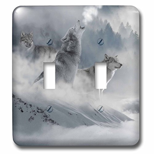 3dRose lsp_252104_2 Fantasy Wolf Wolves Animal with Clouds - Double Toggle Switch
