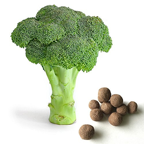 20 Broccoli Seed Balls -De Cicco-- Herb  and  Vegetable Seed Bombs to make gardening fun and simple!