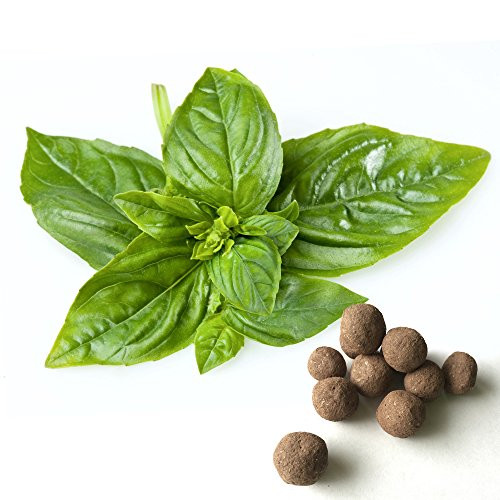 Genovese Basil Seed Balls -20 Pack-- Herb and Vegetable Seed Bombs to Make Gardening Fun and Simple! Genovese Basil Seed Balls -20 Pack-- Herb and Vegetable Seed Bombs to Make Gardening Fun and Simple!