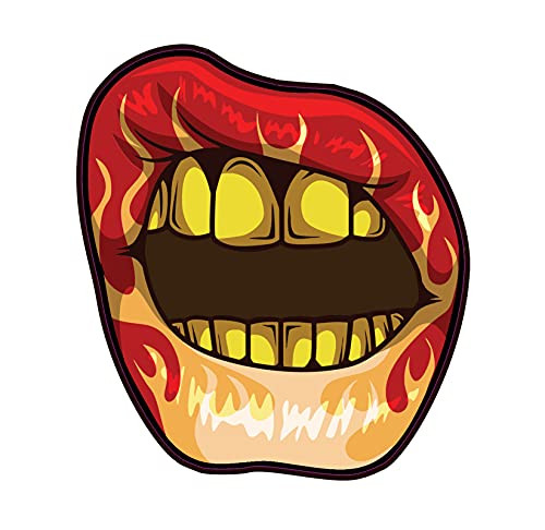 WickedGoodz Flaming Lips Vinyl Decal - Flame Bumper Sticker - for Laptops Tumblers Windows Cars Trucks Walls WickedGoodz Flaming Lips Vinyl Decal - Flame Bumper Sticker - for Laptops Tumblers Windows Cars Trucks Walls