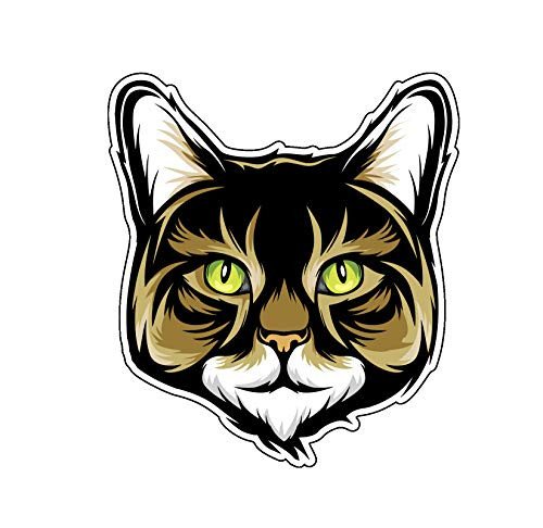 WickedGoodz Maine Coon Cat Vinyl Decal - Kitty Bumper Sticker - for Laptops Tumblers Windows Cars Trucks Walls