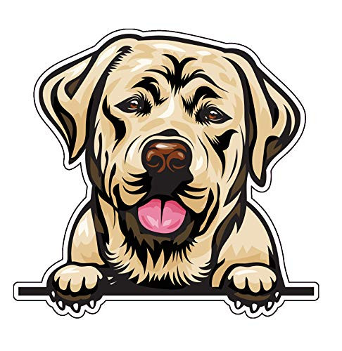 Smiling Yellow Lab Vinyl Decal - Lab Dog Breed Bumper Sticker - for Laptops Tumblers Windows Cars Trucks Walls