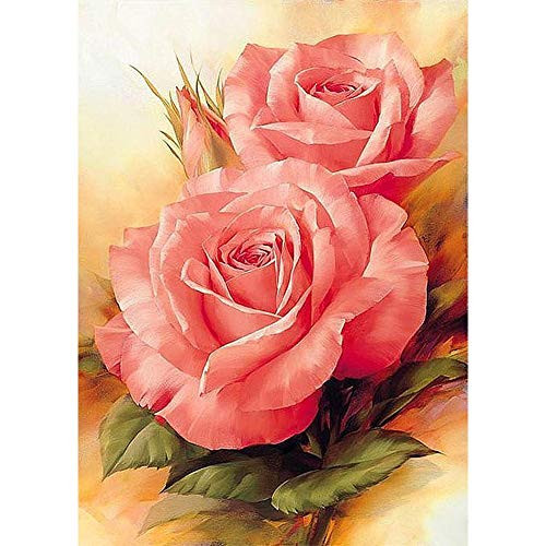 DIY 5D Diamond Painting by Numbers Kits Pink Roses Flowers Full Drill Rhinestones Paint with Diamonds Crystal Diamond Art -Roses- DIY 5D Diamond Painting by Numbers Kits Pink Roses Flowers Full Drill Rhinestones Paint with Diamonds Crystal Diamond Art -Roses-