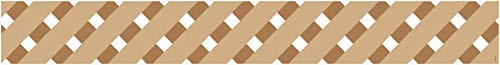 Creative Teaching Press Lattice -Positively Plants EZ Border- Classroom Decor Wall Border
