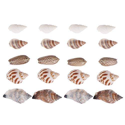 Aliyaduo 60 Pcs Hermit Crab Growth Shells Shell Hermit Crab Shells Turbo Seashell Natural Sea Conch Hermit Crab House for Decor -with 1 Free Keychain-