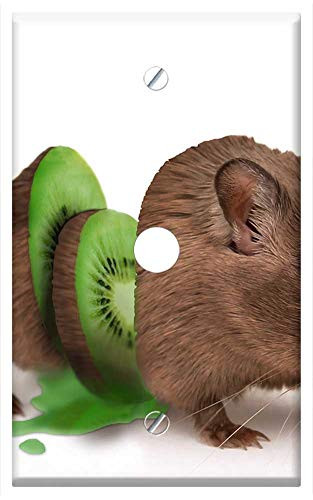 Single Hole Device Telephone-Cable Wall Plate Cover - Mouse Kiwi Cut Discs Sweet Cute Fruit Healthy