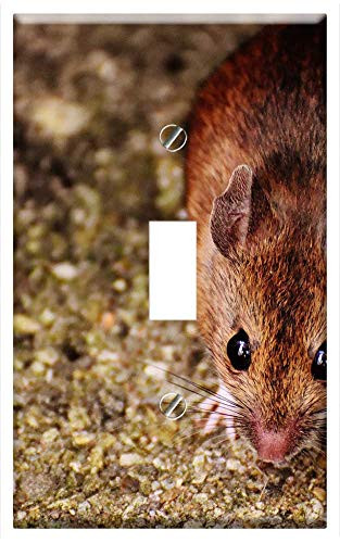 Switch Plate Single Toggle - Mouse Rodent Cute Mammal Nager Nature Animal 22
