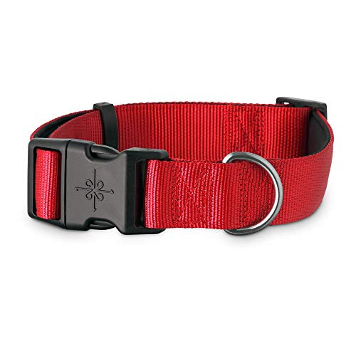 Petco Brand - Good2Go Red Neoprene Padded Dog Collar XX-Large-3X-Large