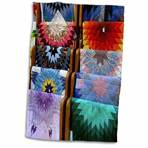 3D Rose Sd-Prairie Edge Trading Co-Native American-Us42 Cmi0125-Cindy Miller Hopkins Hand-Sports Towel 15 x 22