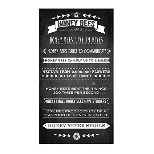 Michael Miller Queen Bee Honey Panel Charcoal Quilt Fabric