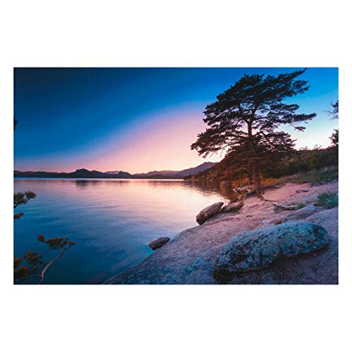 Northcott View from Here 2 Glass Lake 28'' Panel Fabric Violet Multi