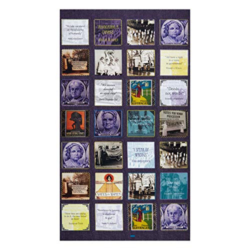 Benartex Votes for Women Blocks 24'' Panel Fabric Multi