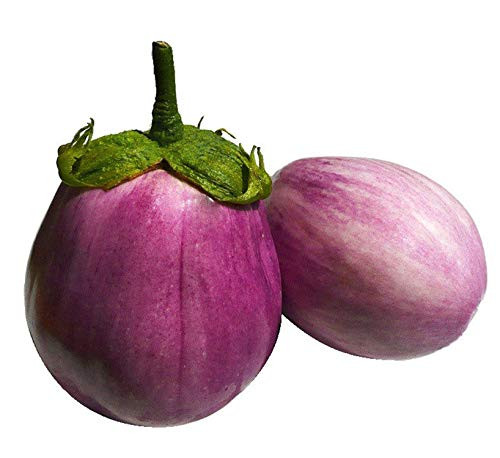UtopiaSeeds Rosa Bianca Eggplant Seeds - Heirloom Italian Eggplant - Delicious in Italian Cooking