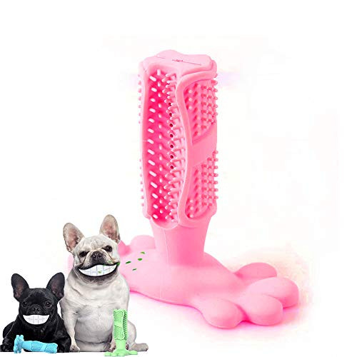 CHPOO Dog Chew Toothbrush Teeth Stick Toothbrush Cleaning Toys Pet Dental Oral Care Natural Rubber Bite Resistant Chew Dog Toys -M 3-Pink M- CHPOO Dog Chew Toothbrush Teeth Stick Toothbrush Cleaning Toys Pet Dental Oral Care Natural Rubber Bite Resistant Chew Dog Toys -M 3-Pink M-