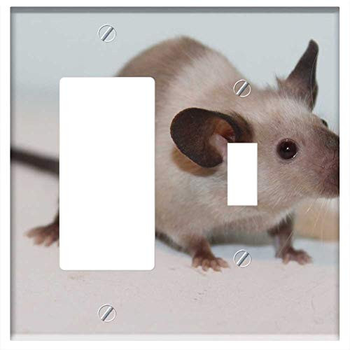 Rocker-GFCI Toggle Combination Wall Plate Cover - Mouse Rodent Rat Pest Mammal Siamese Fancy Cute Rocker-GFCI Toggle Combination Wall Plate Cover - Mouse Rodent Rat Pest Mammal Siamese Fancy Cute
