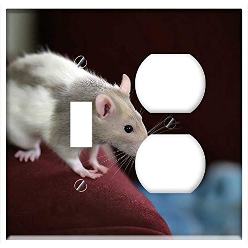 2-Gang Toggle Outlet Combination Wall Plate Cover - Rat Animal Pet Rodent Mouse Mammal Cute Domestic 2-Gang Toggle Outlet Combination Wall Plate Cover - Rat Animal Pet Rodent Mouse Mammal Cute Domestic