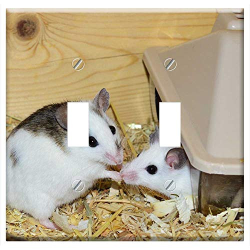 Switch Plate Double Toggle - Mastomys Mice Nager Rodents Close Society Pets Switch Plate Double Toggle - Mastomys Mice Nager Rodents Close Society Pets